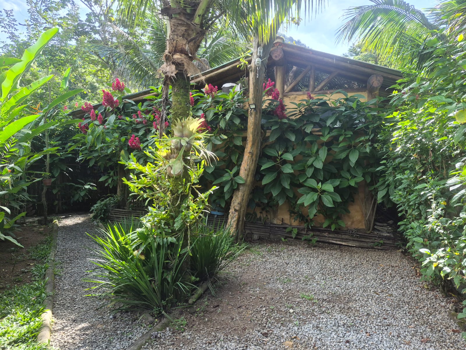 casa-2 (3)